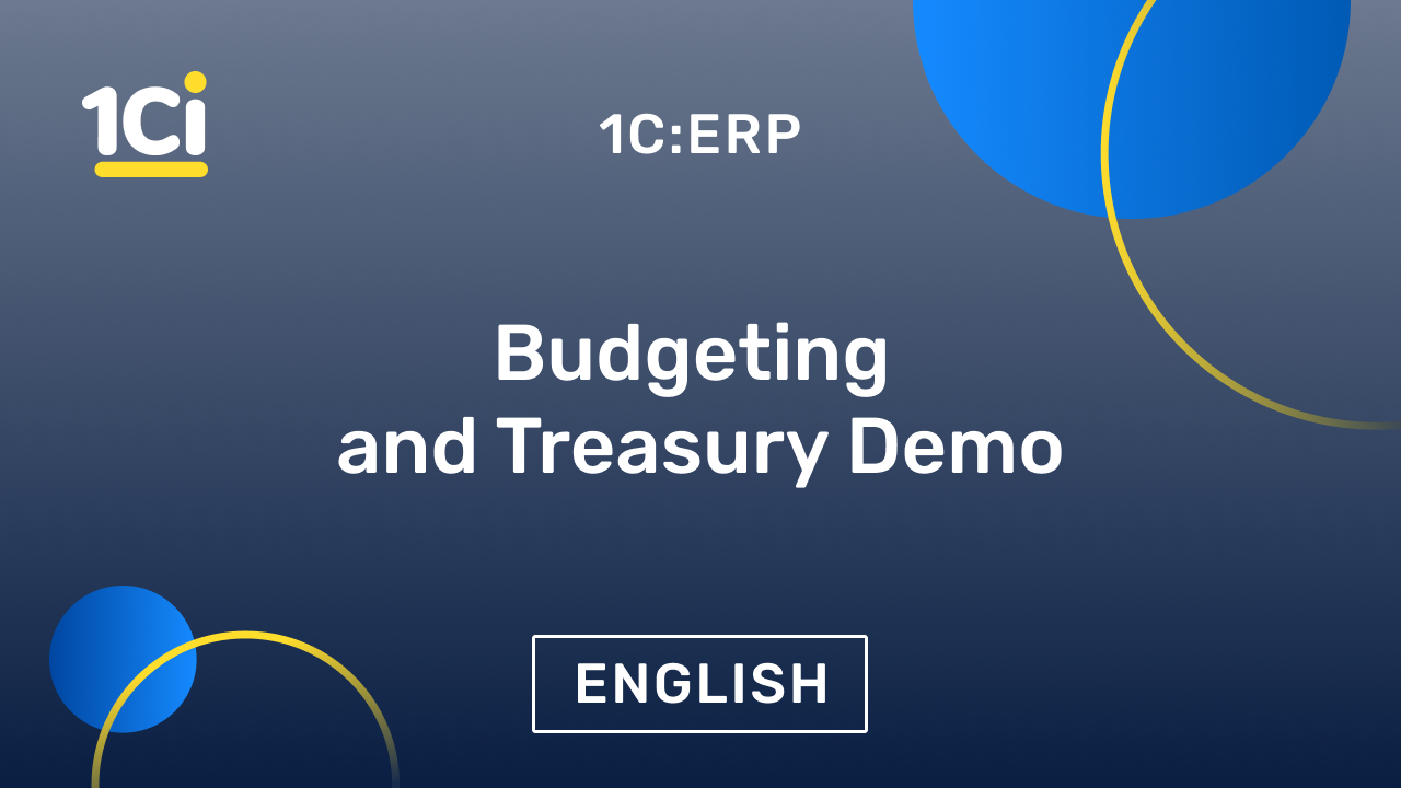 Flexible 1C:ERP - Budgeting & Tresury Functionality