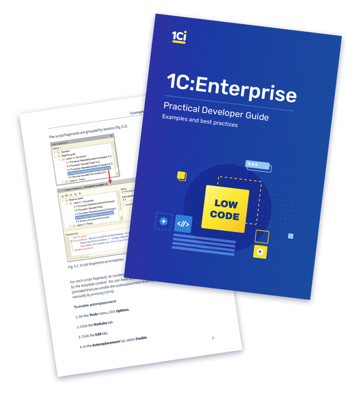 1C:Enterprise Practical Developer Guide | 1Ci ERP